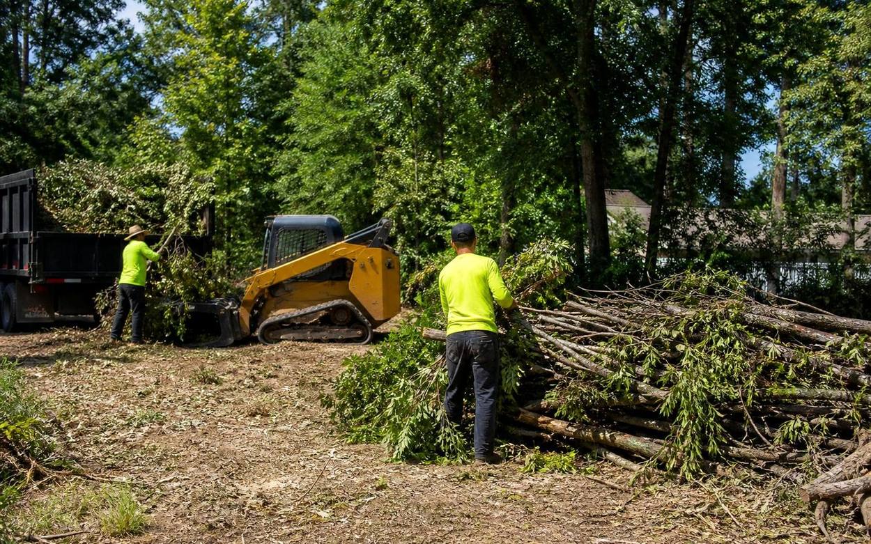 Loader collecting tree debris for hauling